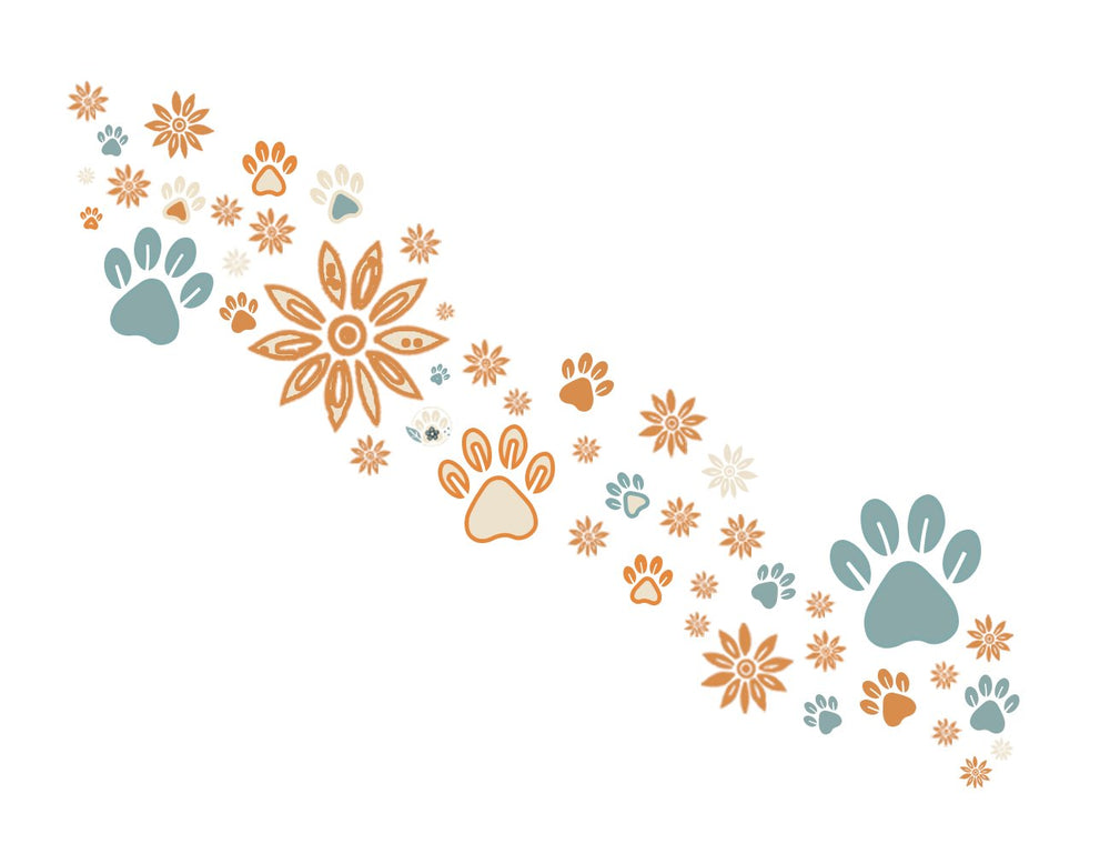 Wildbloom Walk