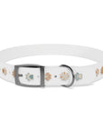 Wildbloom Walk: Dog Collar