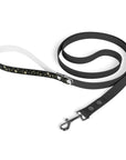 Meadow Moments: Leash
