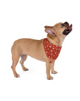 Wildbloom Walk: Pet Bandana