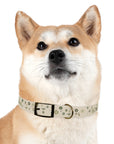 Meadow Moments: Dog Collar