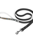Wildbloom Walk: Leash