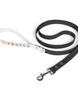 Wildbloom Walk: Leash