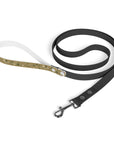 Meadow Moments: Leash