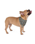 Wildbloom Walk: Pet Bandana