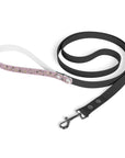 Meadow Moments: Leash