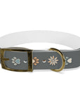 Wildbloom Walk: Dog Collar