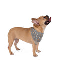 Wildbloom Walk: Pet Bandana