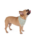 Wildbloom Walk: Pet Bandana