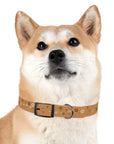 Meadow Moments: Dog Collar