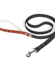 Meadow Moments: Leash