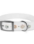 Wildbloom Walk: Dog Collar