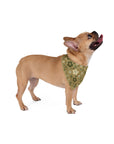 Meadow Moments: Pet Bandana
