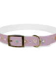 Wildbloom Walk: Dog Collar