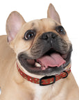 Meadow Moments: Dog Collar