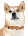 Meadow Moments: Dog Collar