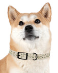 Meadow Moments: Dog Collar