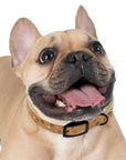 Meadow Moments: Dog Collar