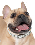 Meadow Moments: Dog Collar