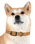 Meadow Moments: Dog Collar