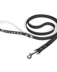 Wildbloom Walk: Leash