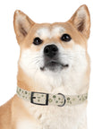 Meadow Moments: Dog Collar