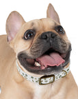Meadow Moments: Dog Collar