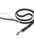 Meadow Moments: Leash