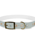 Wildbloom Walk: Dog Collar