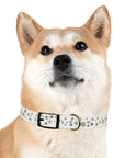 Meadow Moments: Dog Collar