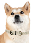 Meadow Moments: Dog Collar