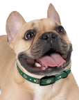 Wildbloom Walk: Dog Collar