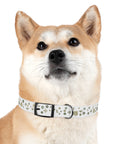Meadow Moments: Dog Collar