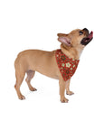 Meadow Moments: Pet Bandana
