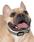 Meadow Moments: Dog Collar