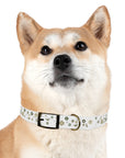 Meadow Moments: Dog Collar