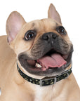 Meadow Moments: Dog Collar
