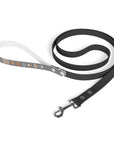 Wildbloom Walk: Leash