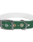Wildbloom Walk: Dog Collar