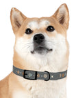 Wildbloom Walk: Dog Collar
