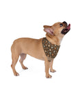 Wildbloom Walk: Pet Bandana