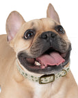 Meadow Moments: Dog Collar