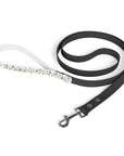 Meadow Moments: Leash