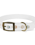 Wildbloom Walk: Dog Collar