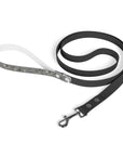 Meadow Moments: Leash