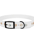 Wildbloom Walk: Dog Collar