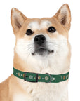 Wildbloom Walk: Dog Collar