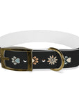 Wildbloom Walk: Dog Collar