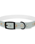 Wildbloom Walk: Dog Collar