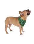 Wildbloom Walk: Pet Bandana